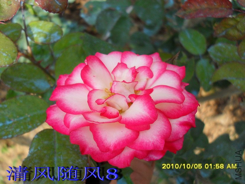 ����¶�12 (3).jpg