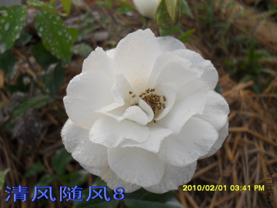 �ٱ�ɽ11 (4).jpg