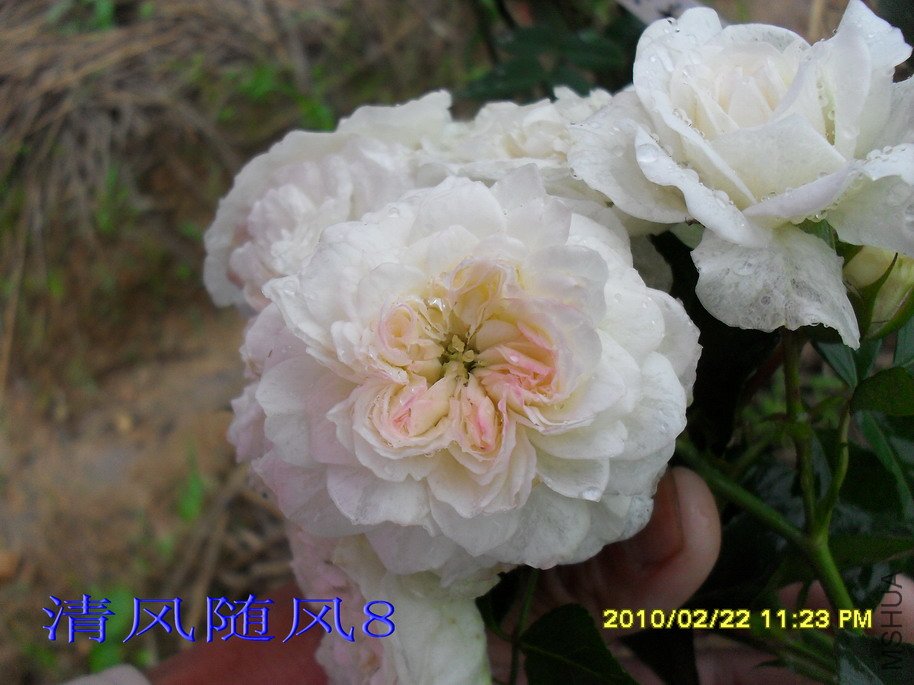 ÷�ʵ���11 (7).jpg