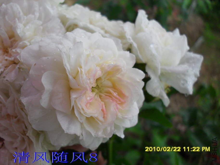 ÷�ʵ���11 (6).jpg