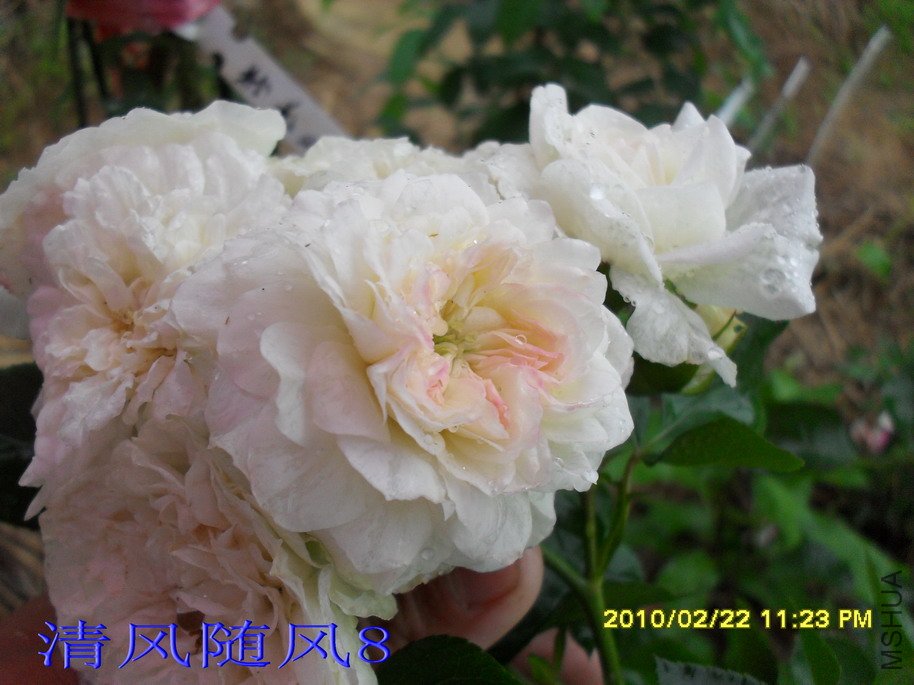 ÷�ʵ���11 (8).jpg