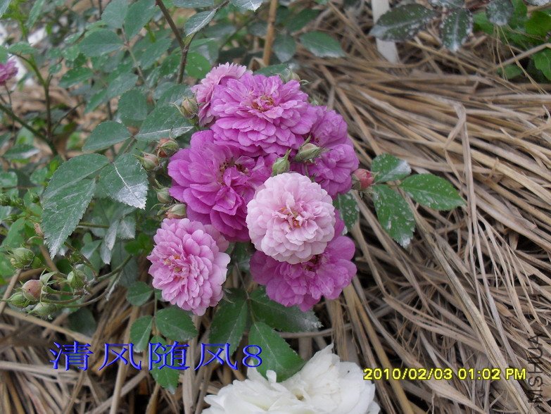 ��������13 (5).jpg