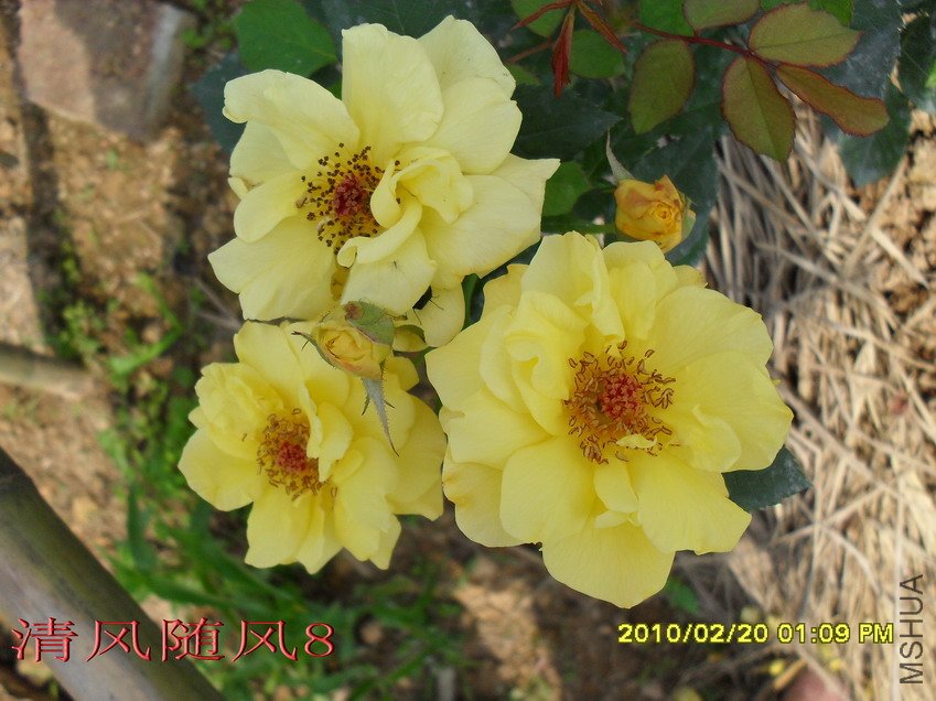 �¹�����11 (4).jpg