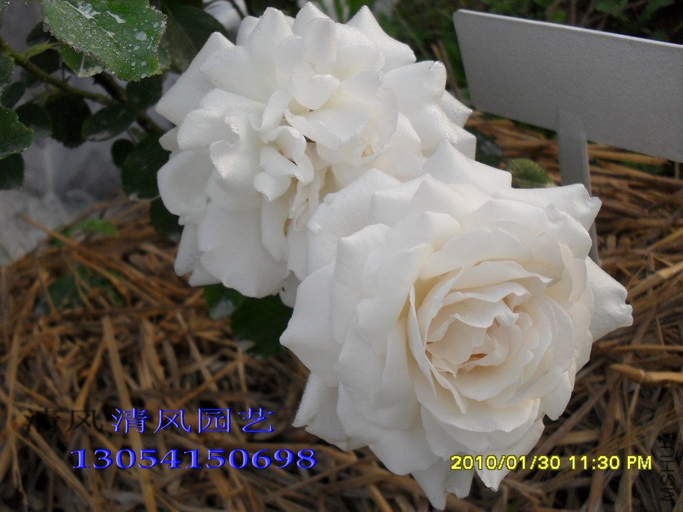 �ٵ¹���11 (8).jpg