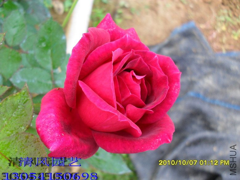 SDC1029811 (141).jpg