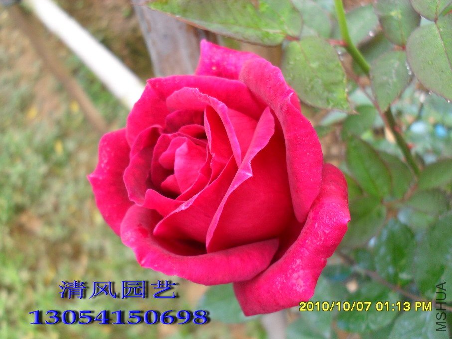 SDC1029811 (154).jpg