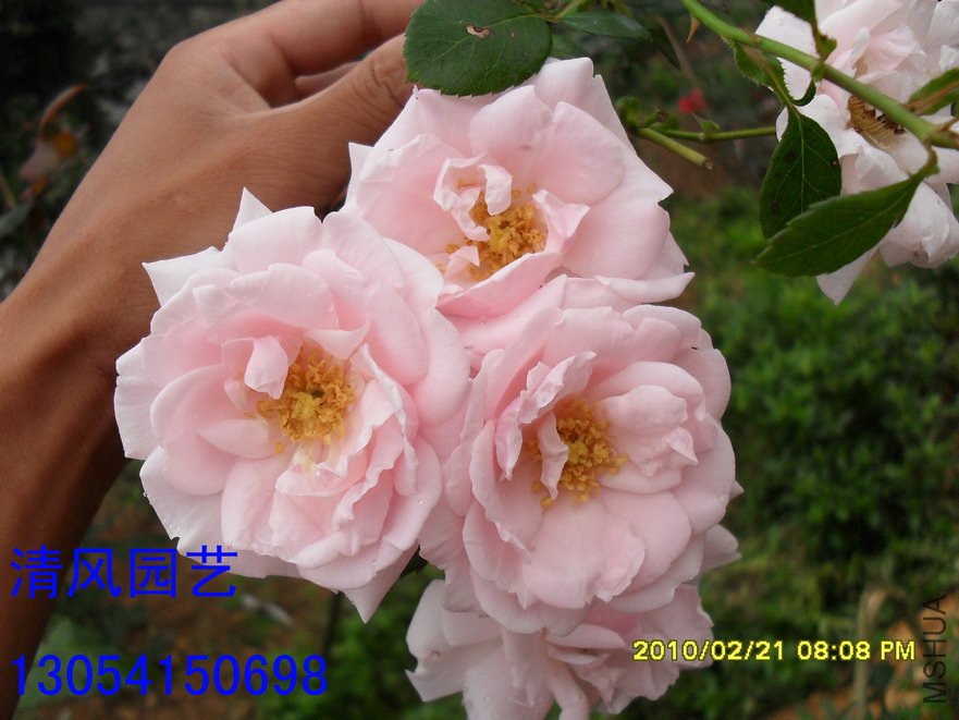 �ٷ���11 (11).jpg