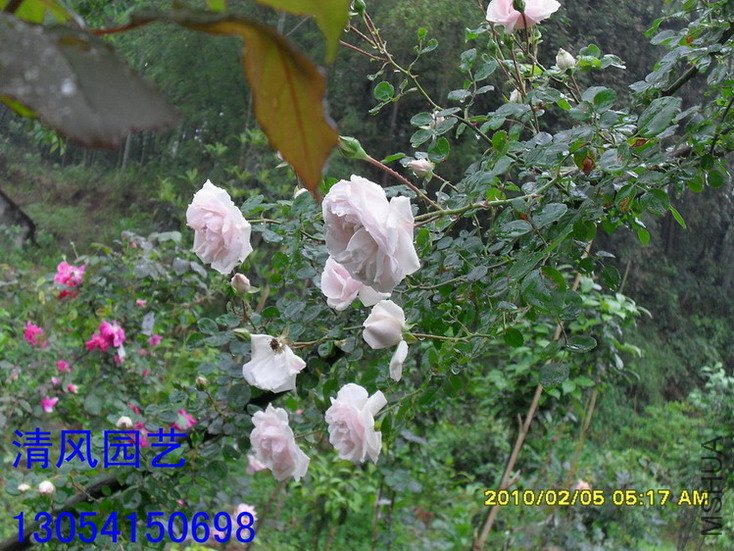 �ٷ���11 (1).jpg