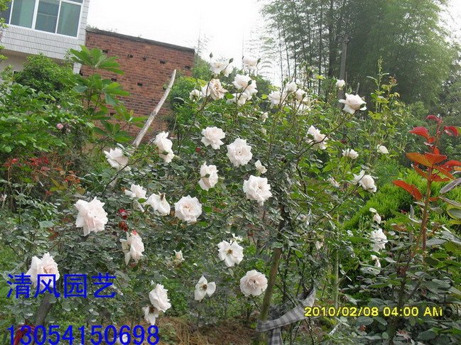 �ٷ���11 (8).jpg