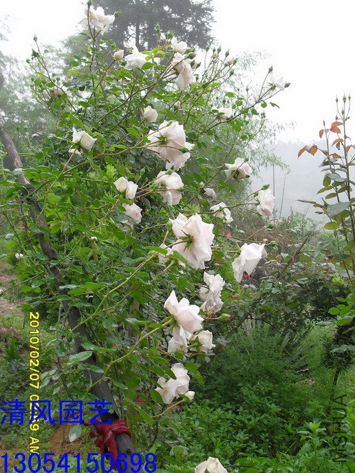 �ٷ���11 (5).jpg