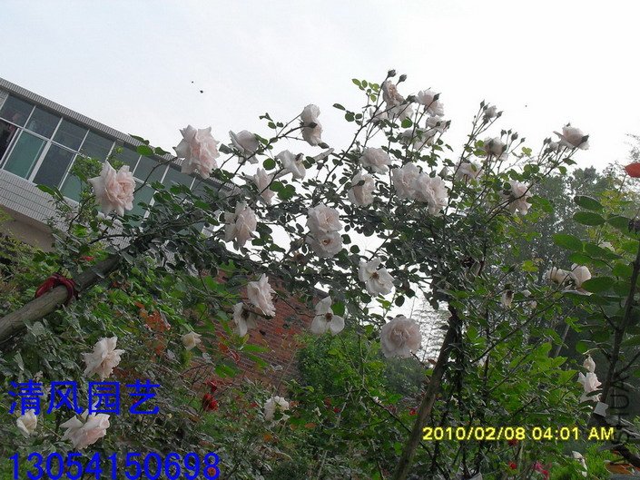 �ٷ���11 (9).jpg