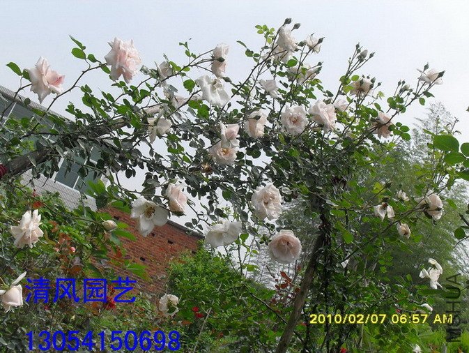 �ٷ���11 (7).jpg