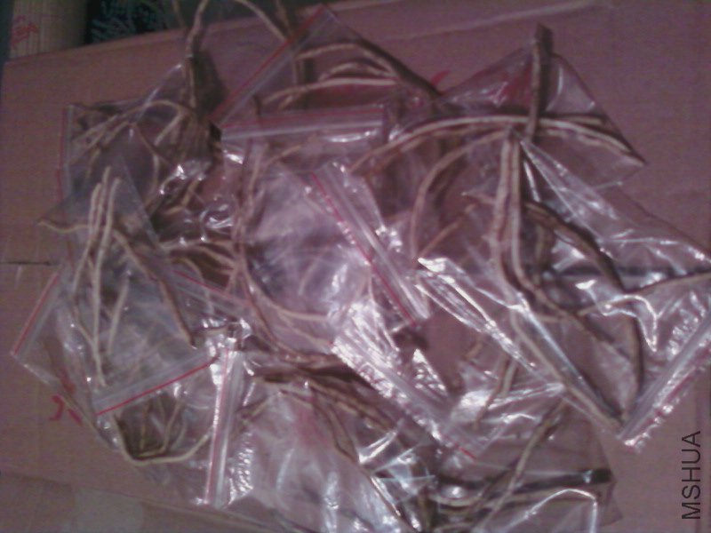 ��Ƭ-0174.jpg