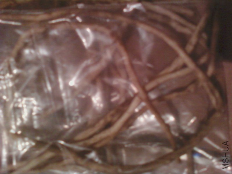��Ƭ-0175.jpg