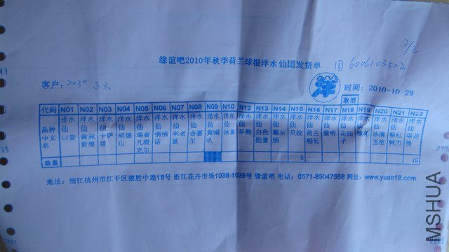 ������С DSC07969.JPG