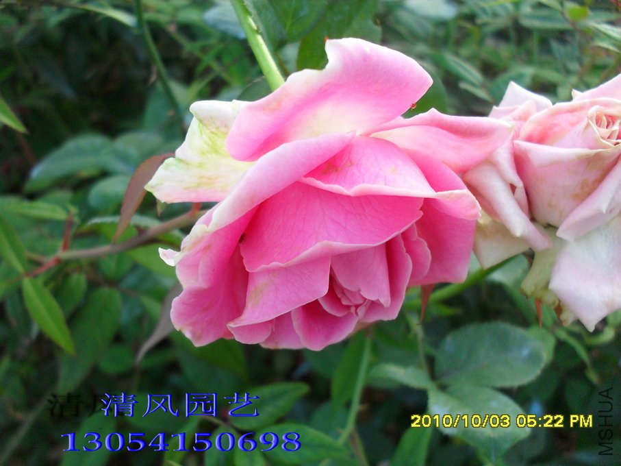 ����� 11) (4).jpg