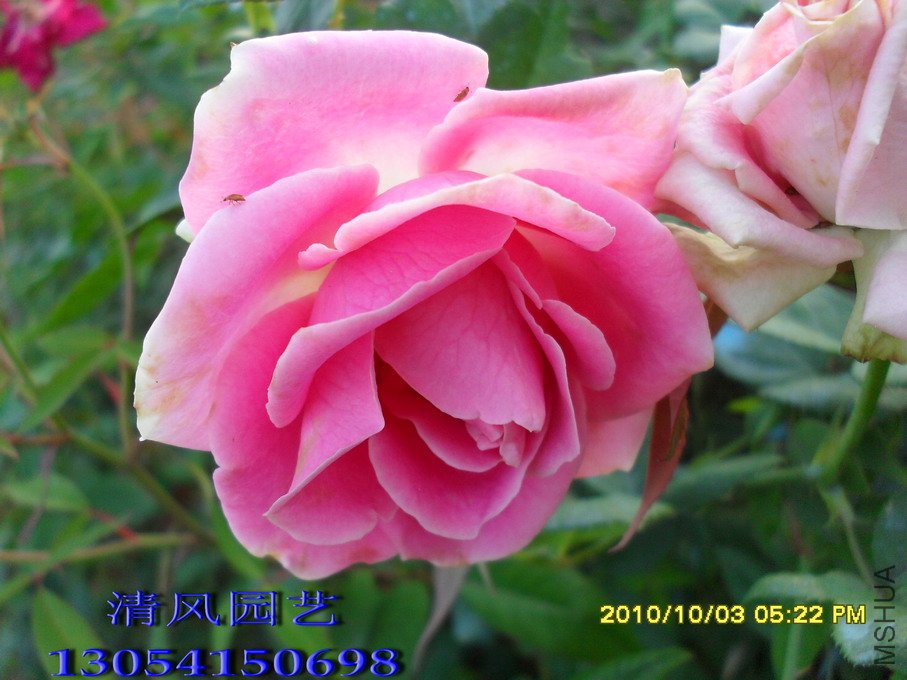 ����� 11) (3).jpg