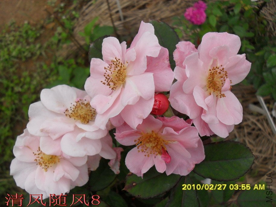 �ŵ���11 (8).jpg