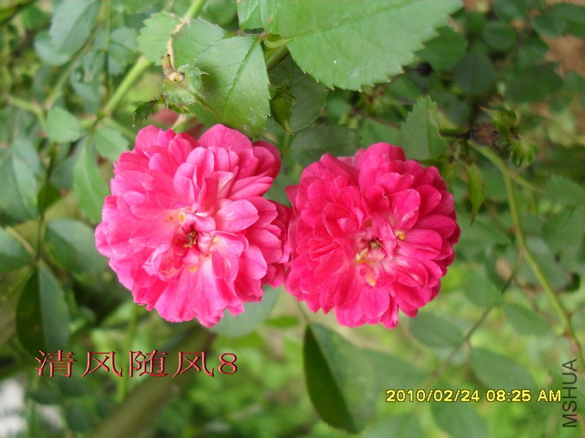 ����ɯ��11 (1).jpg