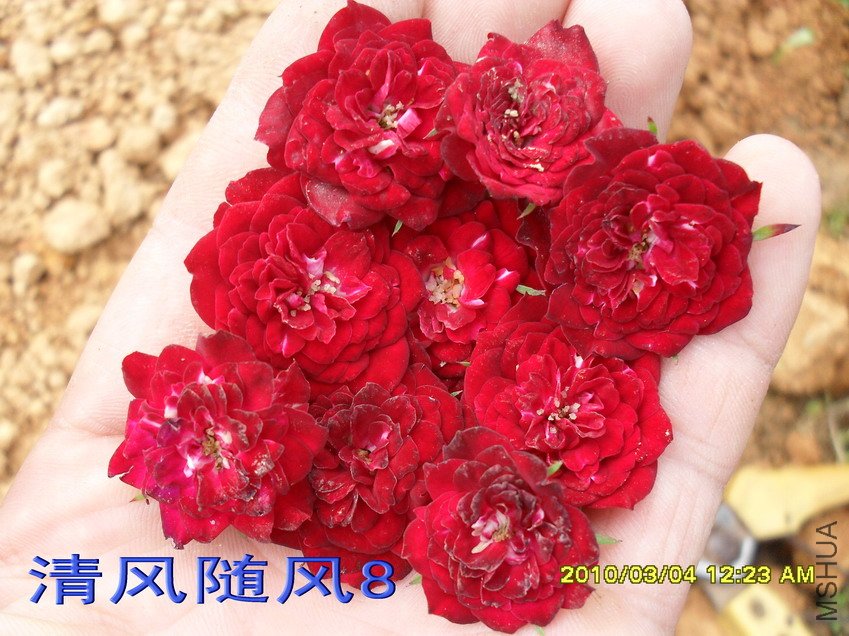 ̩��С��11 (7).jpg