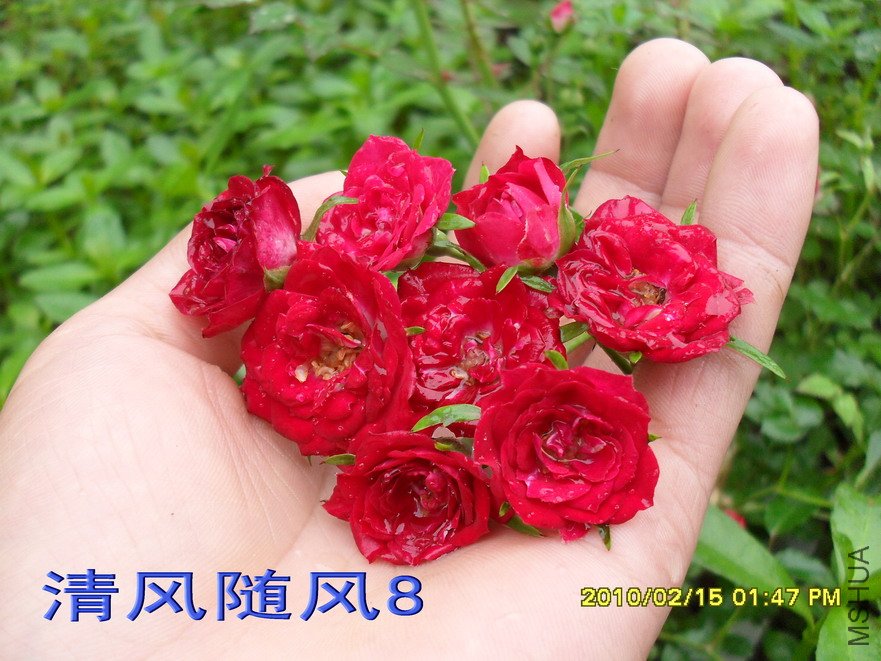 ̩��С��11 (3).jpg