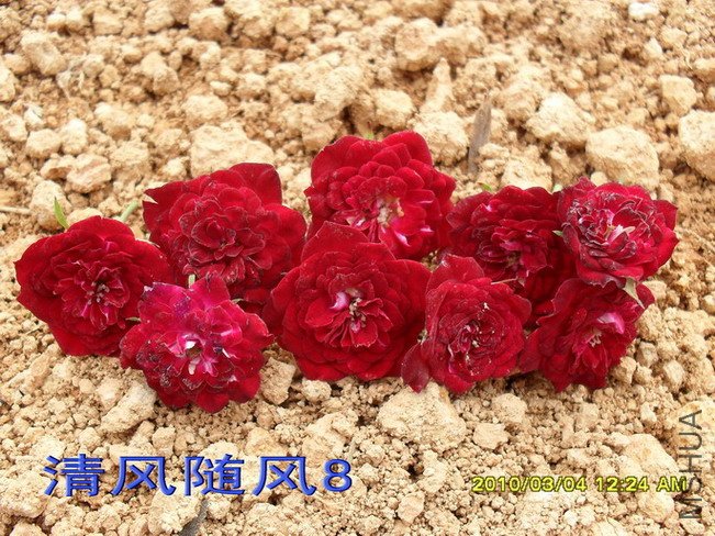 ̩��С��11 (8).jpg