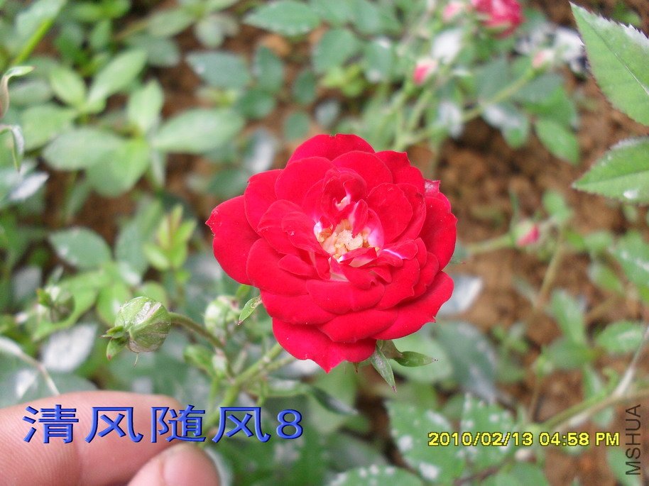 ̩��С��11 (2).jpg