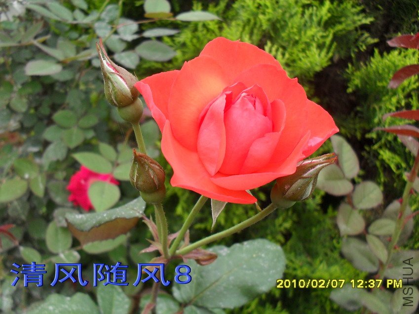 ���Ů��11 (4).jpg