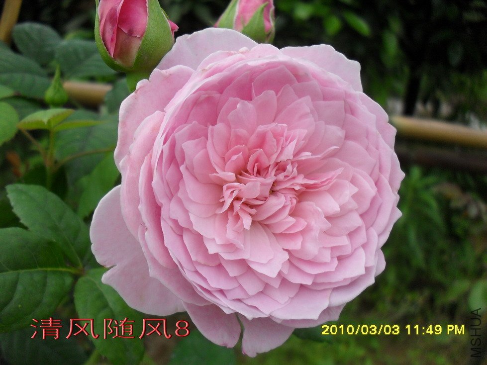 ���ɾ���11 (4).jpg