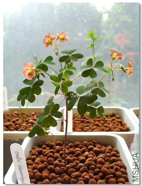 nEO_IMG_101017 132.jpg