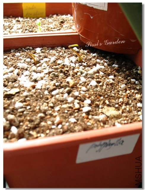 nEO_IMG_101031 035.jpg