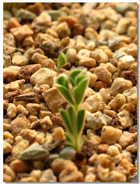 nEO_IMG_101031 132.jpg