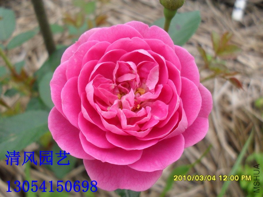 �����к�12 (4).jpg