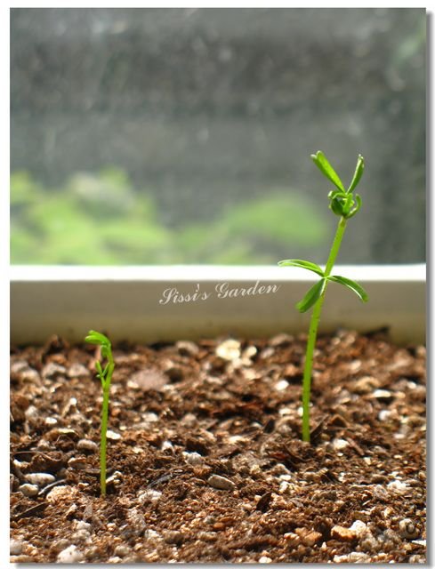 nEO_IMG_101031 046.jpg