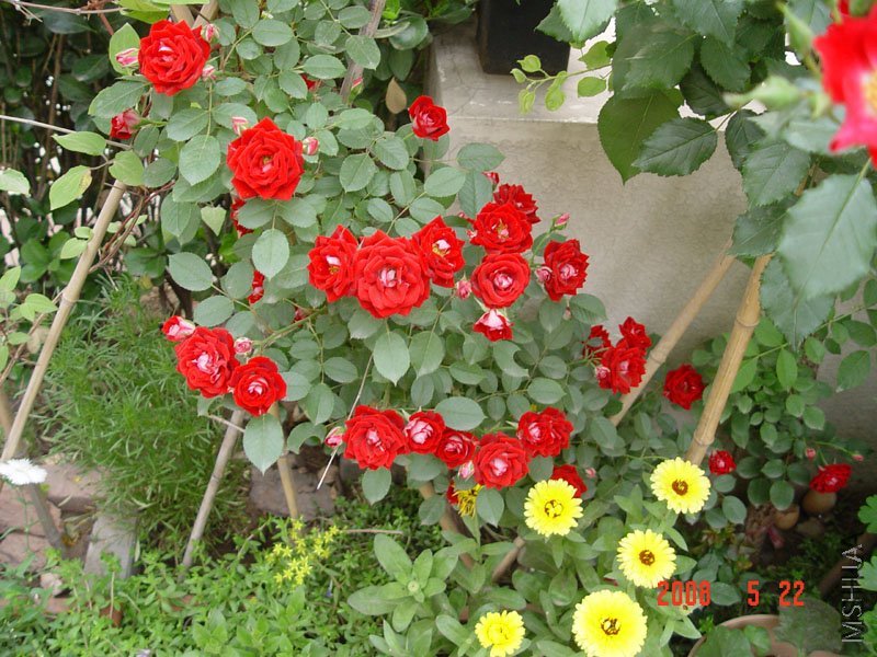 ͼƬ����һλ���ѵģ�