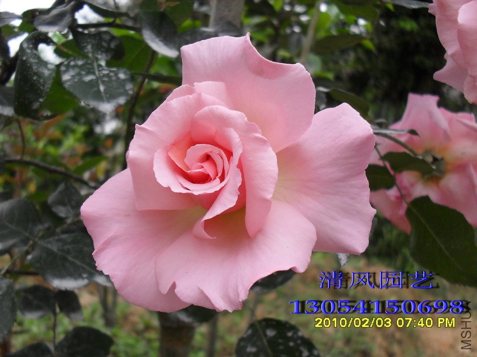 ����11 (3).jpg