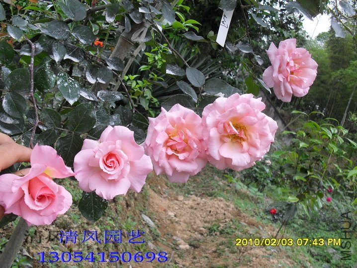 ����11 (1).jpg