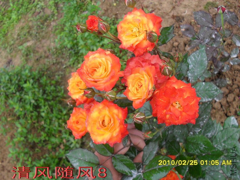 ����11 (2).jpg