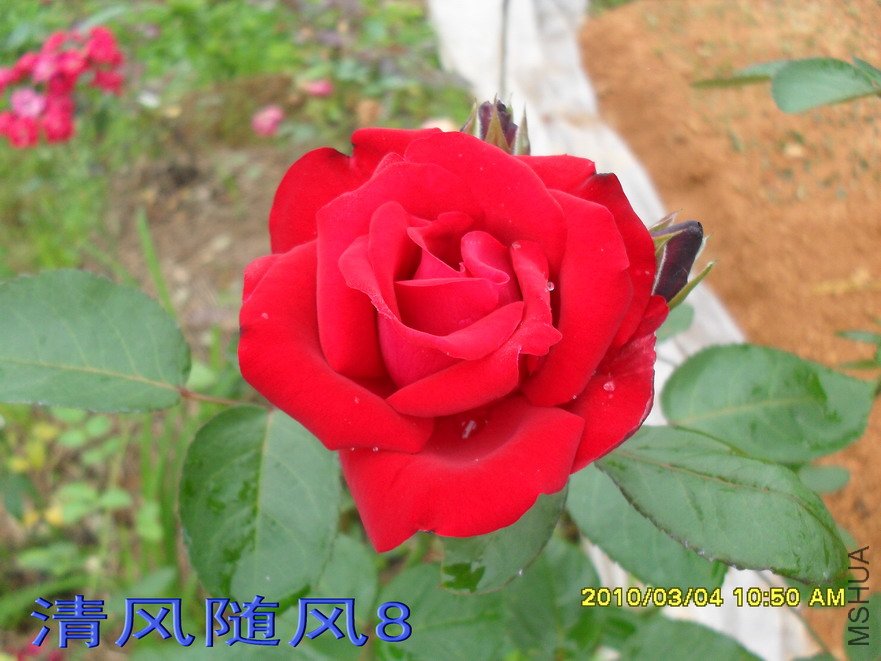 ��������11 (6).jpg