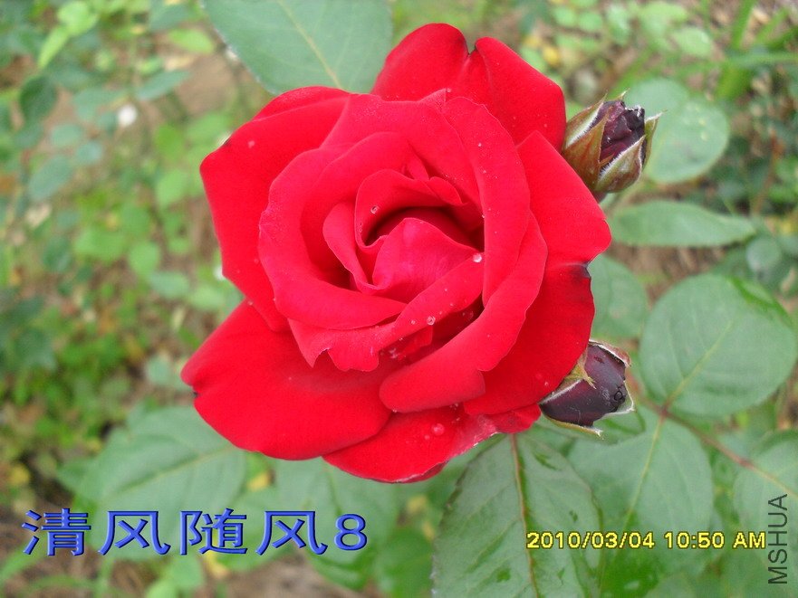 ��������11 (8).jpg