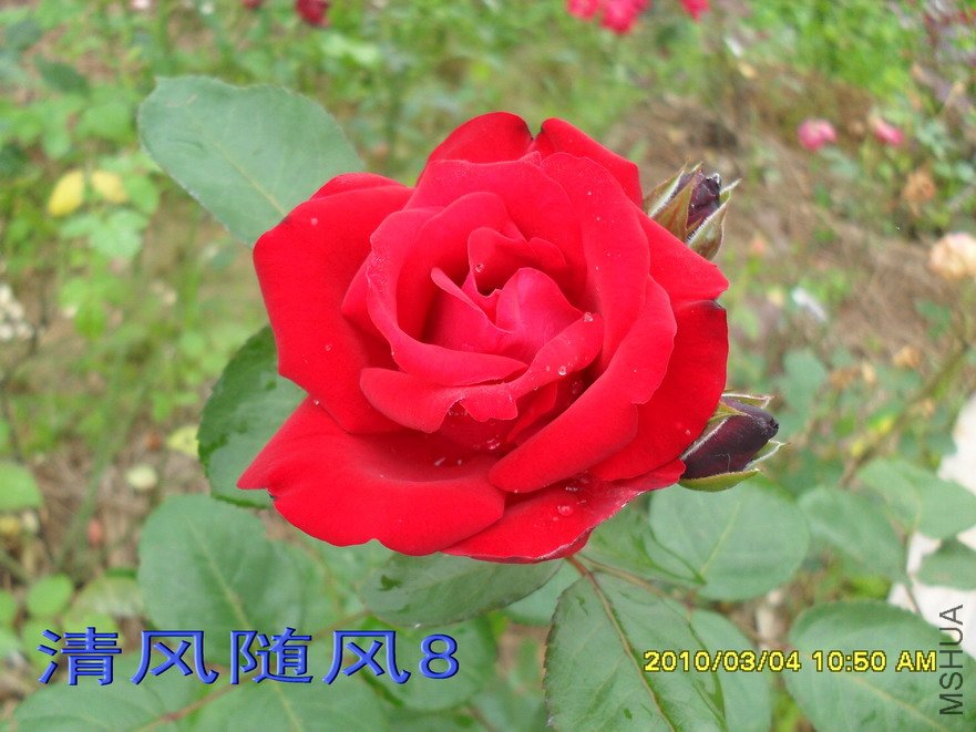 ��������11 (7).jpg