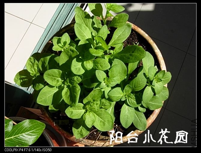 DSCN8289.JPG