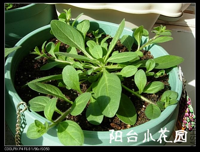 DSCN8287.JPG