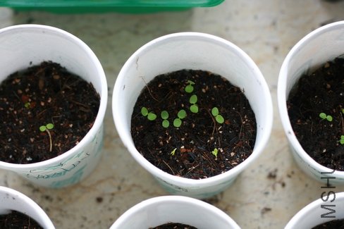 �ҵ���ɫ����ѿ��