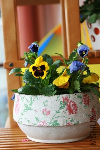 ����(����) 