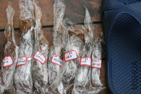 ���Ż�ľ�����ǩ��,���������