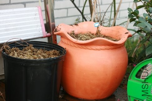 ����������С��,��������������