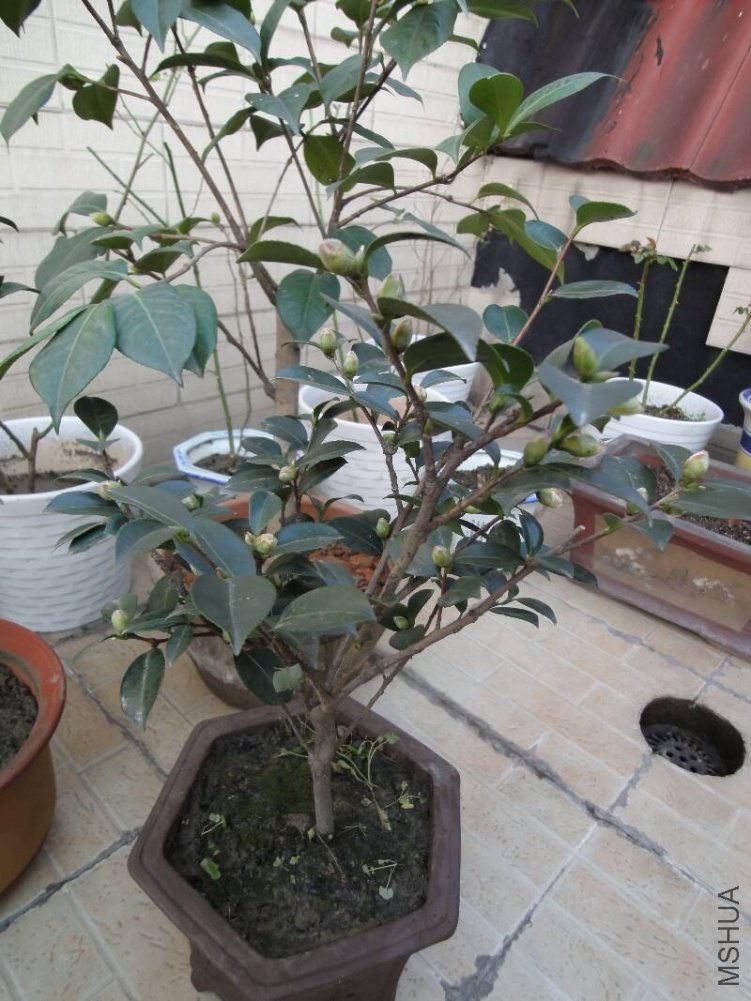 p21.jpg