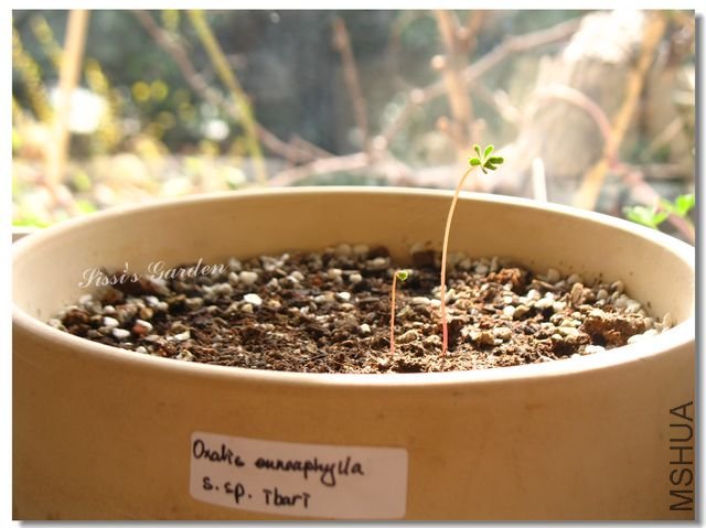 nEO-IMG-101122 038.jpg