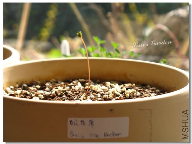 nEO_IMG_101122 043.jpg